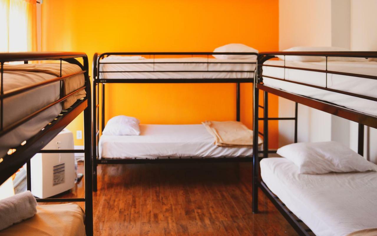 Albergue Kensington College Backpackers Toronto Camas de albergue foto